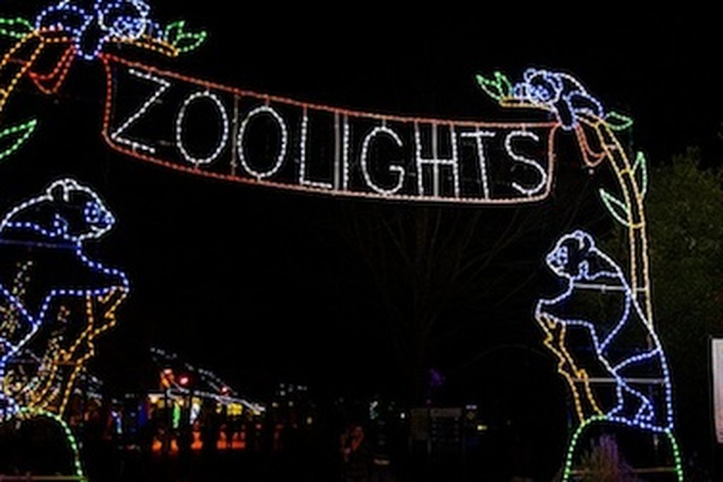 Nothing says Smithsonian cheer like ZooLights.