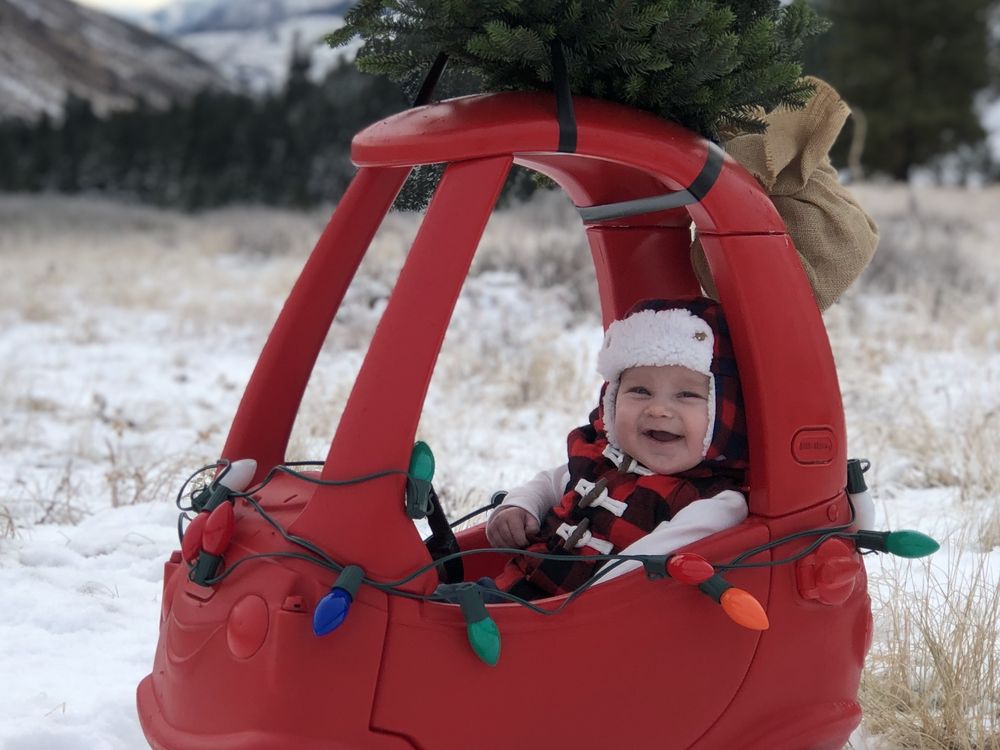 Easton’s Christmas Tree Smithsonian Photo Contest Smithsonian Magazine