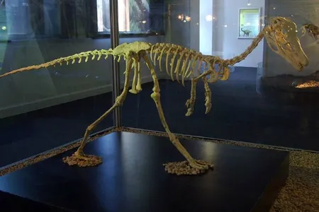 Only hindlimb elements of Alnashetri are known so far, but, based on the dinosaur’s relationships, the tiny theropod probably looked something like this Alvarezsaurus.