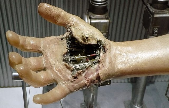 Luke Skywalker’s prosthetic hand from The Empire Strikes Back