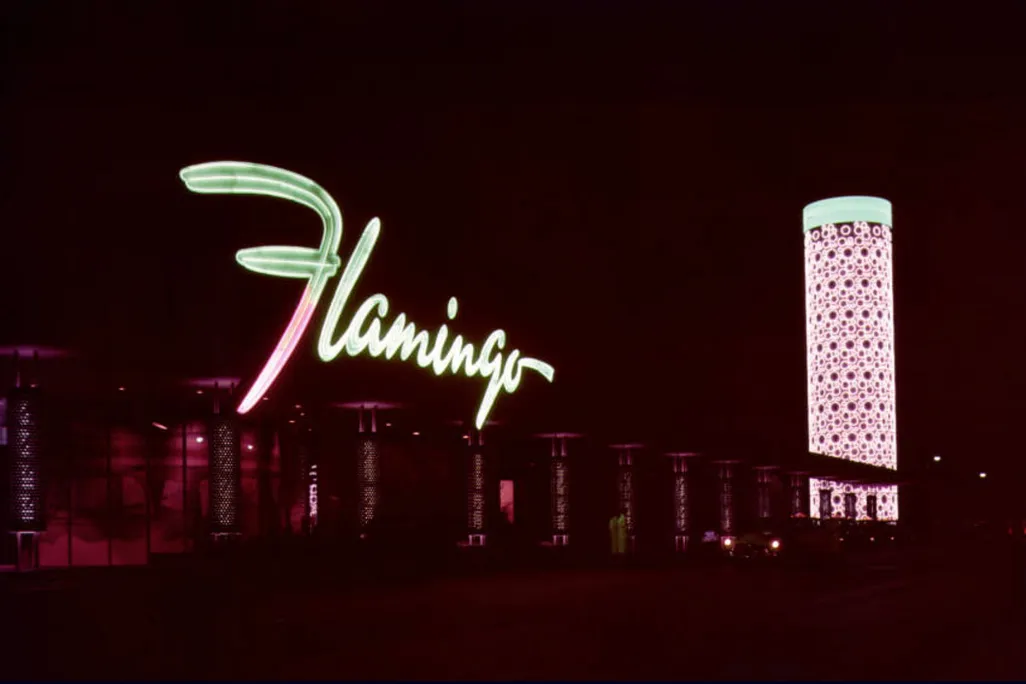 flamingo2.jpg
