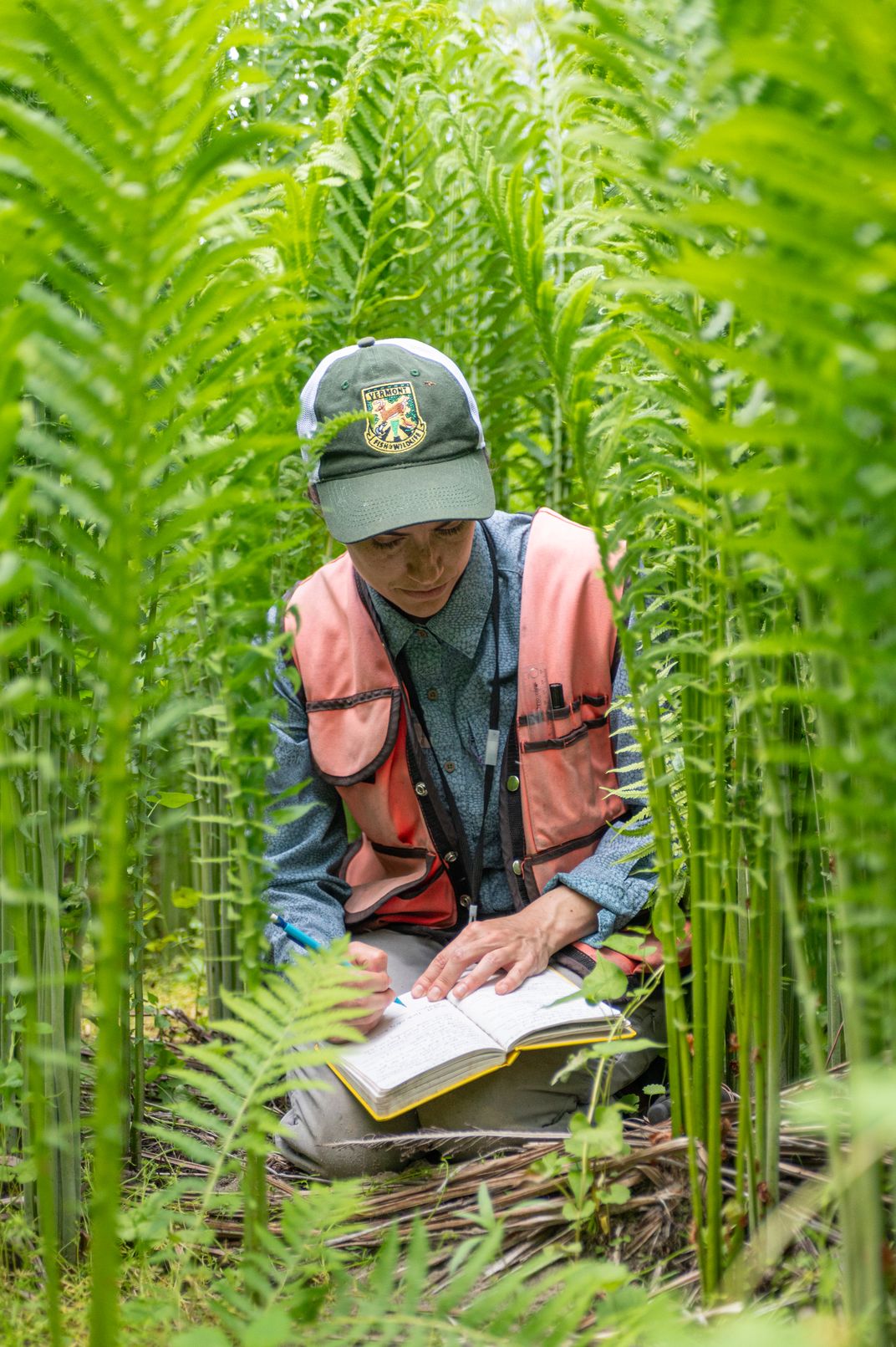 Woman wearing a ballcap kneeling among tall green plants with a notebook in her lap