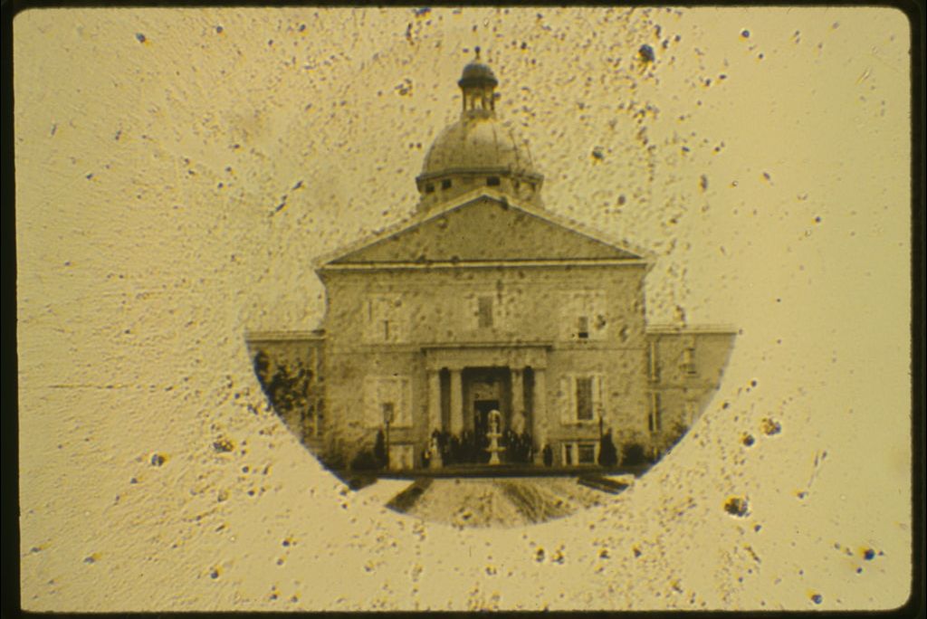 microphotography
