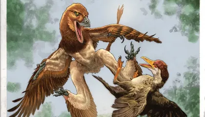 This Strange, Feathered Dinosaur May Have Glided Between Trees Like a Flying Squirrel to Hunt Birds 120 Million Years Ago