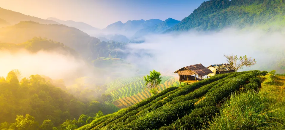  Landscape of Chiang Mai 