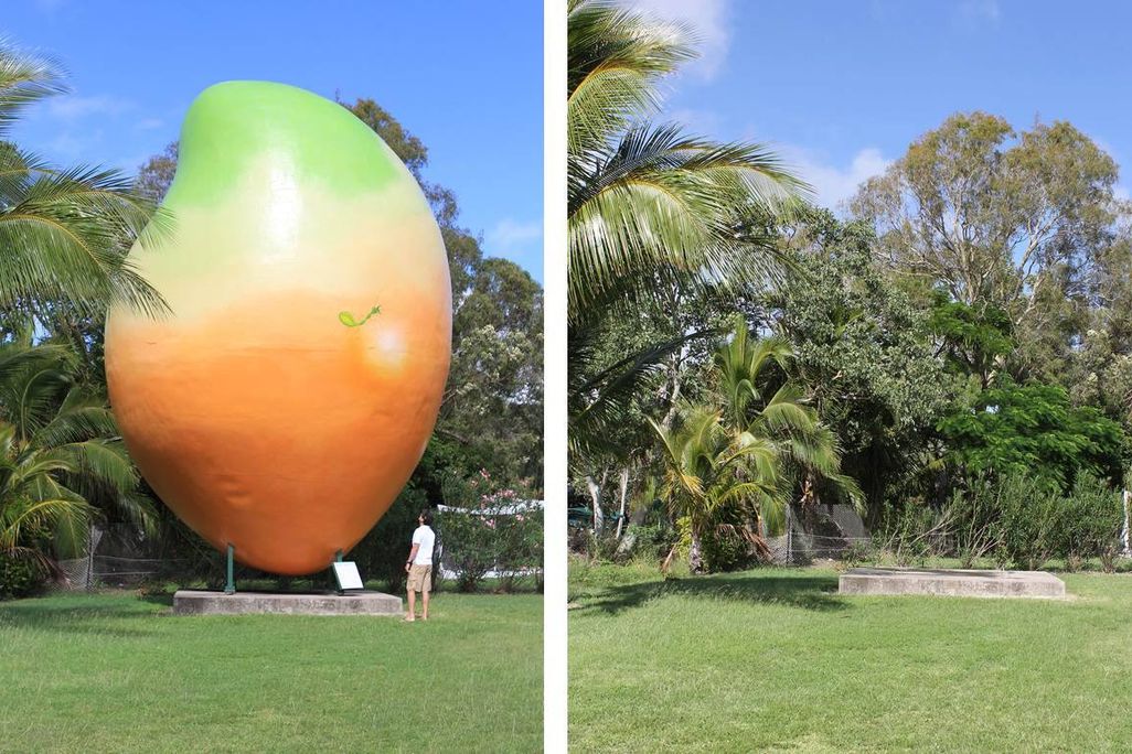 Before and After: Where has the Mango Gone?