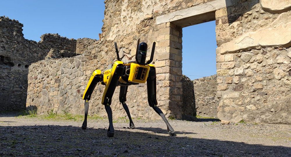A yellow dog-like robot in Pompeii