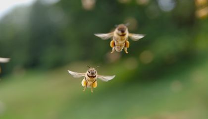 See the Amazing Images That Showcase the Short, Brilliant Lives of Honeybees Throughout the Seasons