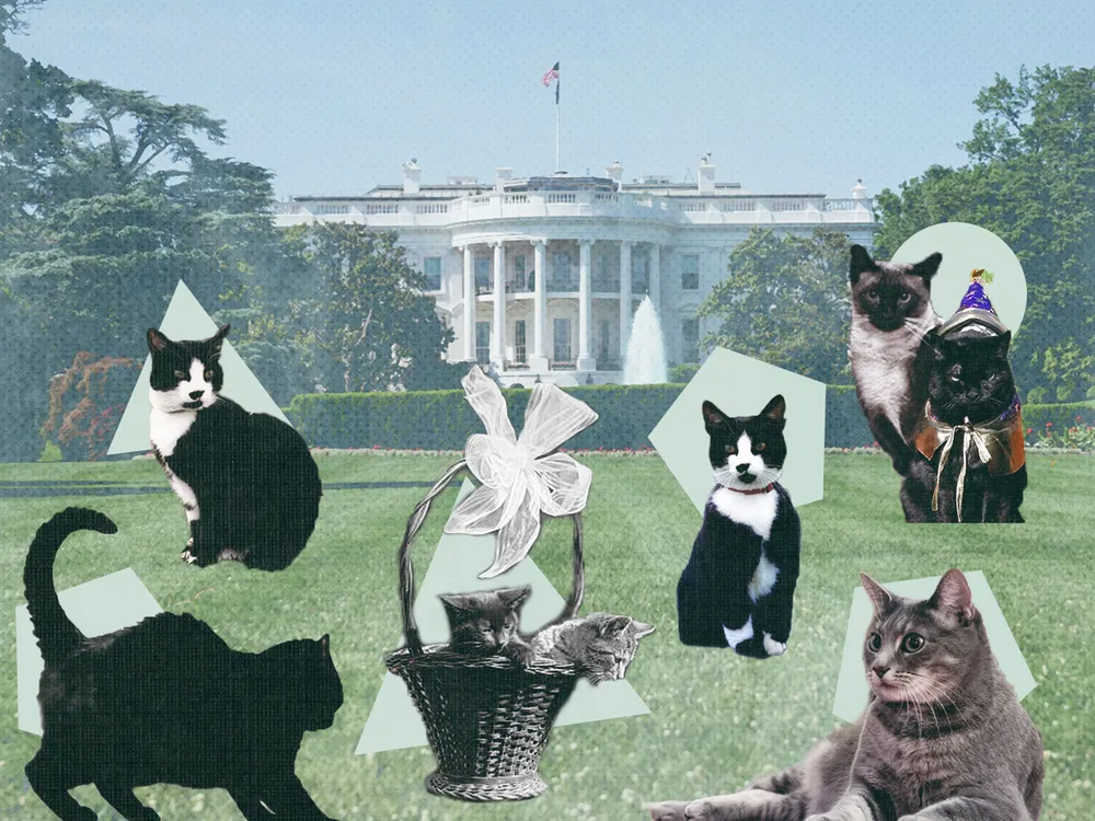 Cats in the White House