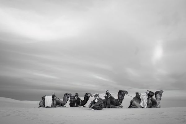 Rest at Sand Dune thumbnail