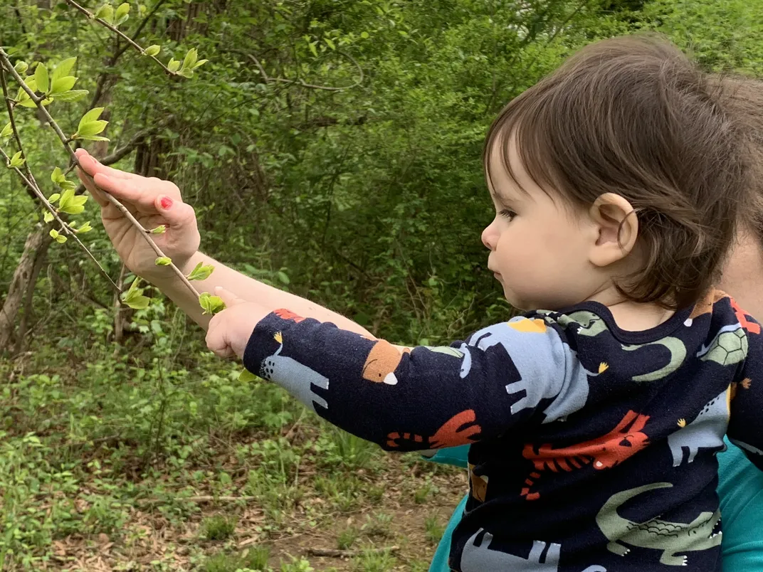 Child in mothers arms reaches to touch a tree branch