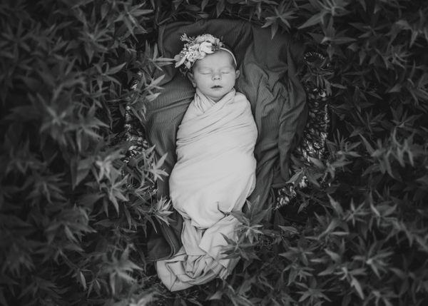 A Newborn in a Garden thumbnail