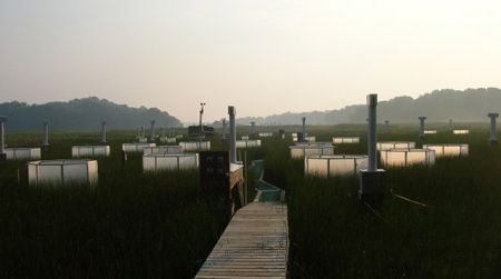 Chesapeake Bay research from 2006