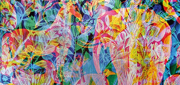 The Art That is Hidden in Plain Sight