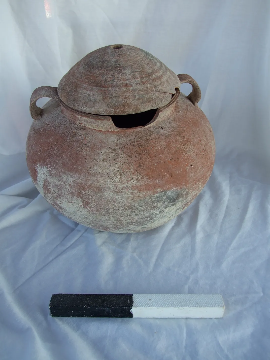 Legio Pot