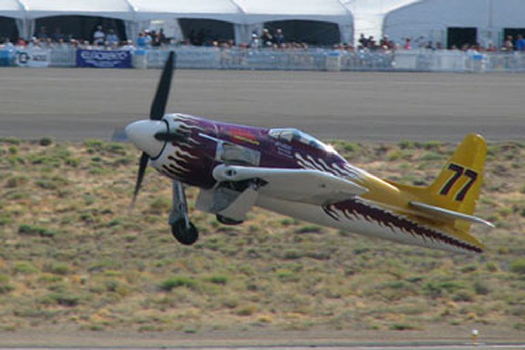 Rare_Bear-388-sept07.jpg