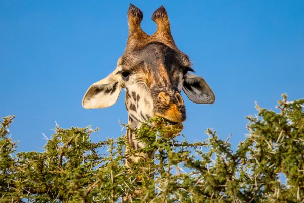 Are you still hiding? thumbnail