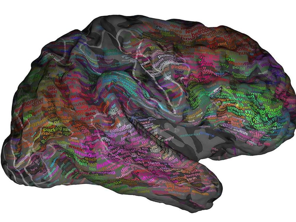 Brain Map