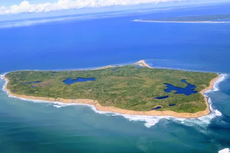 Wildlife often reclaims areas deemed uninhabitable for humans, such as Nomans Land, Massachusetts, which was once a US Navy testing site.
