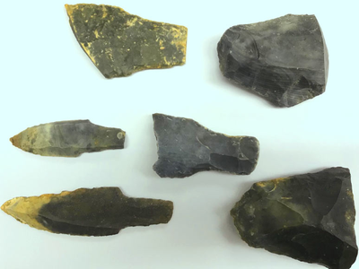 Stone tools discovered in Belize's Paynes Creek Salt Works