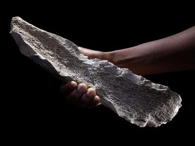 A bone tool shaped on a 1.5-million-year-old elephant humerus