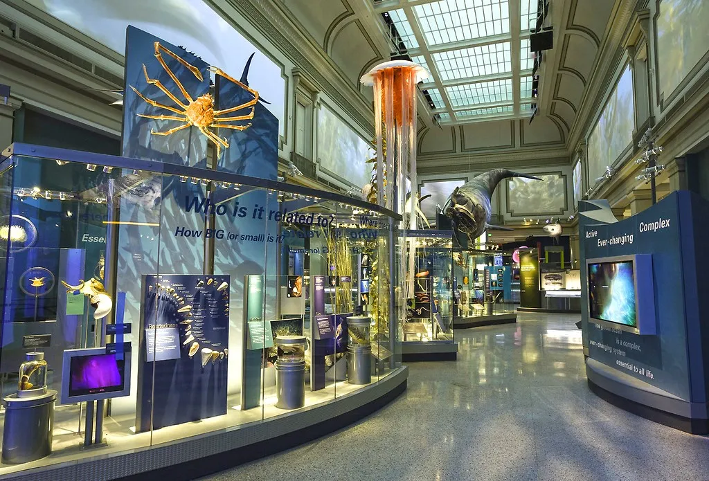 Do-It-Yourself Exhibits  Smithsonian National Museum of Natural History