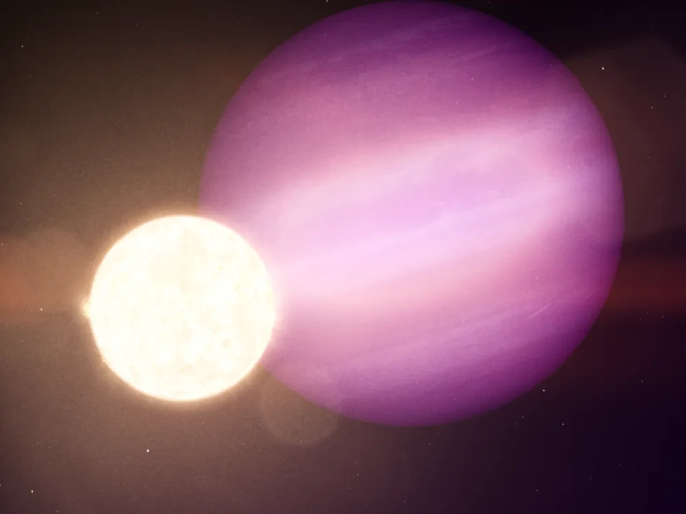 An illustration of a giant purple planet with pale stripes behind a small white star, a glowing ball of hot gas that appears in this illustration to be about 1/7 of the planet's size