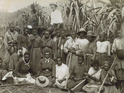 How 'Blackbirders' Forced Tens of Thousands of Pacific Islanders Into Slavery After the Civil War image