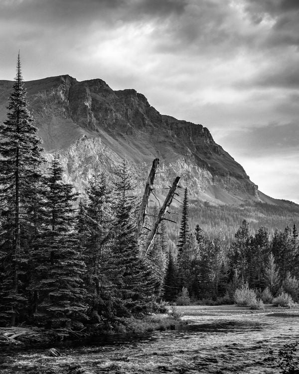A Black and White View Along Two Medecine Creek, Glacier National Park thumbnail