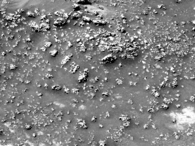 A picture snapped by Spirit near Home Plate shows silica formations poking out of the soil, which may have been formed by microbial life.