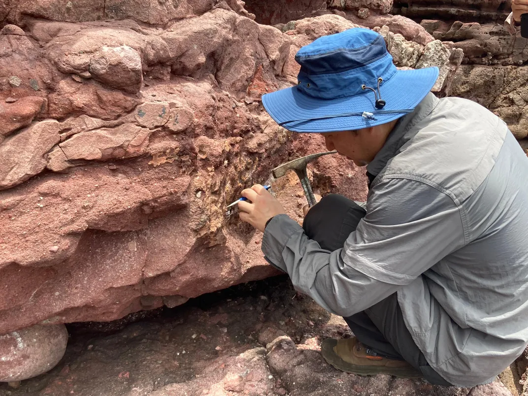 paleontologist working on red sedimentary rock