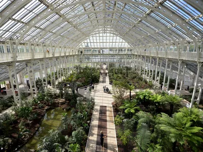 A view of the interior of the Temperate House during a press preview of its reopening at Kew Gardens.