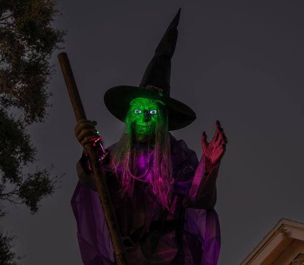 The Neighborhood Halloween Witch thumbnail
