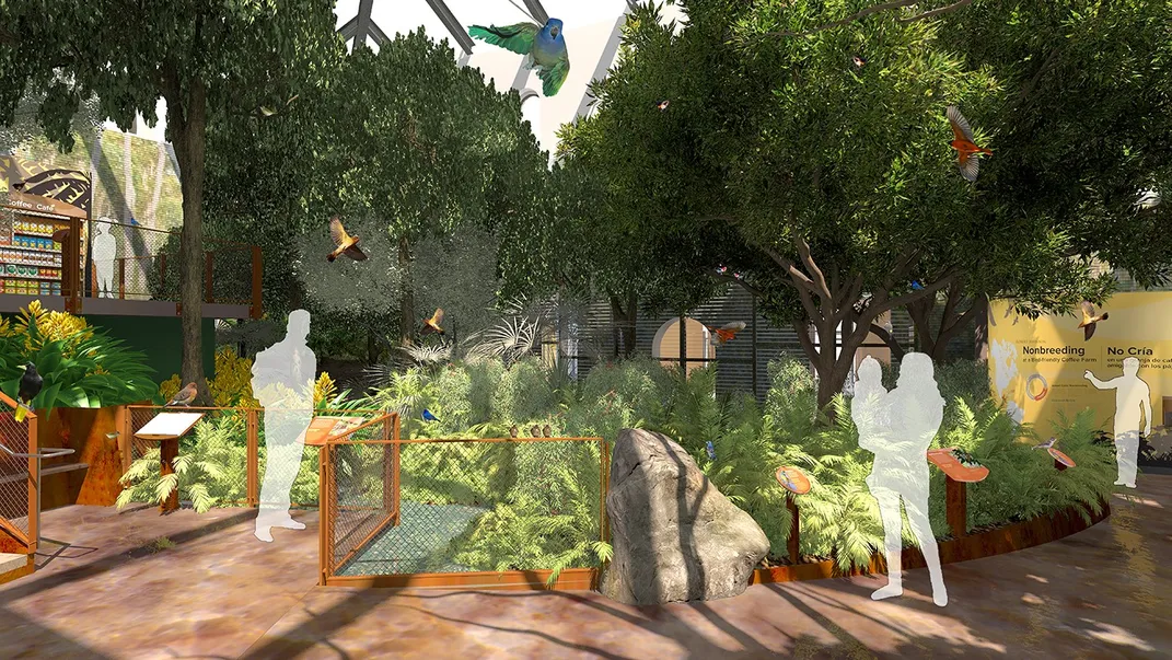 An illustrated design of a Bird House exhibit aviary with leafy trees, shrubs and plants, a pathway for visitors and tropical birds in flight or perched on branches.