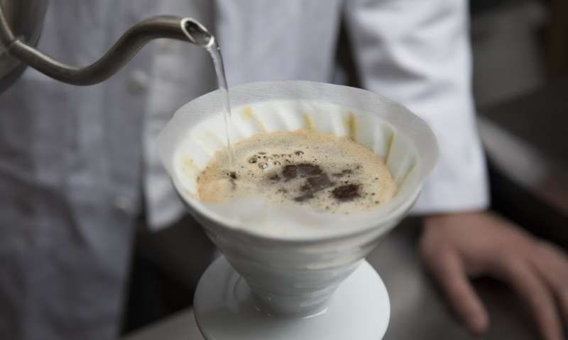 The Chemistry and Physics Behind the Perfect Cup of Coffee