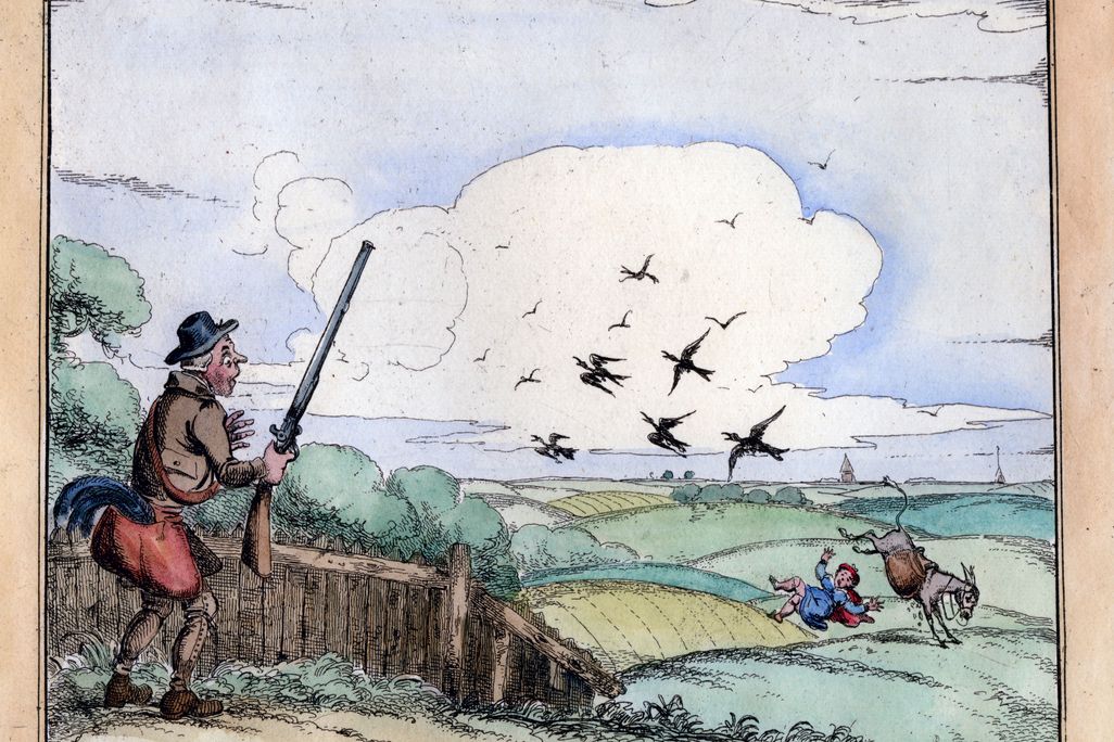 Hunting accident