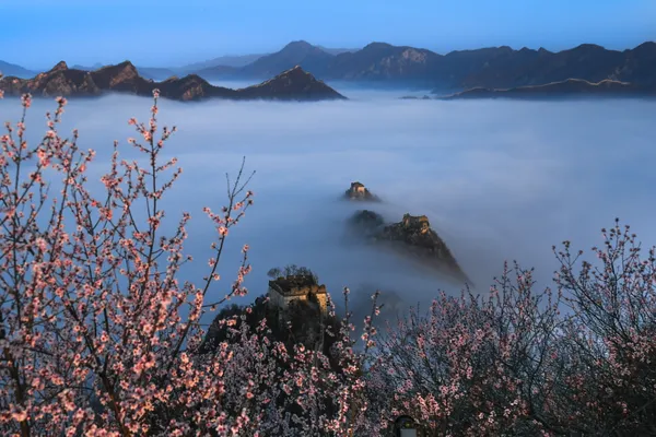 Spring comes to the Great Wall thumbnail