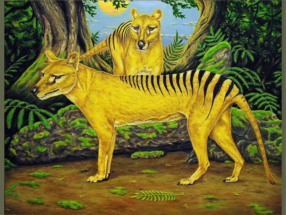 Scientists Are Resurrecting the Tasmanian Tiger from Extinction