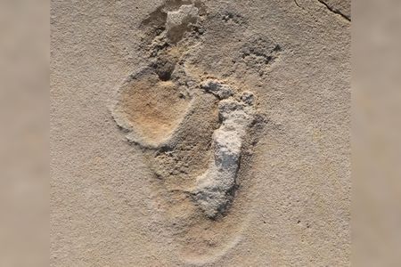New research suggests these&nbsp;human-like footprints found in Crete may by 6.05 million years old.