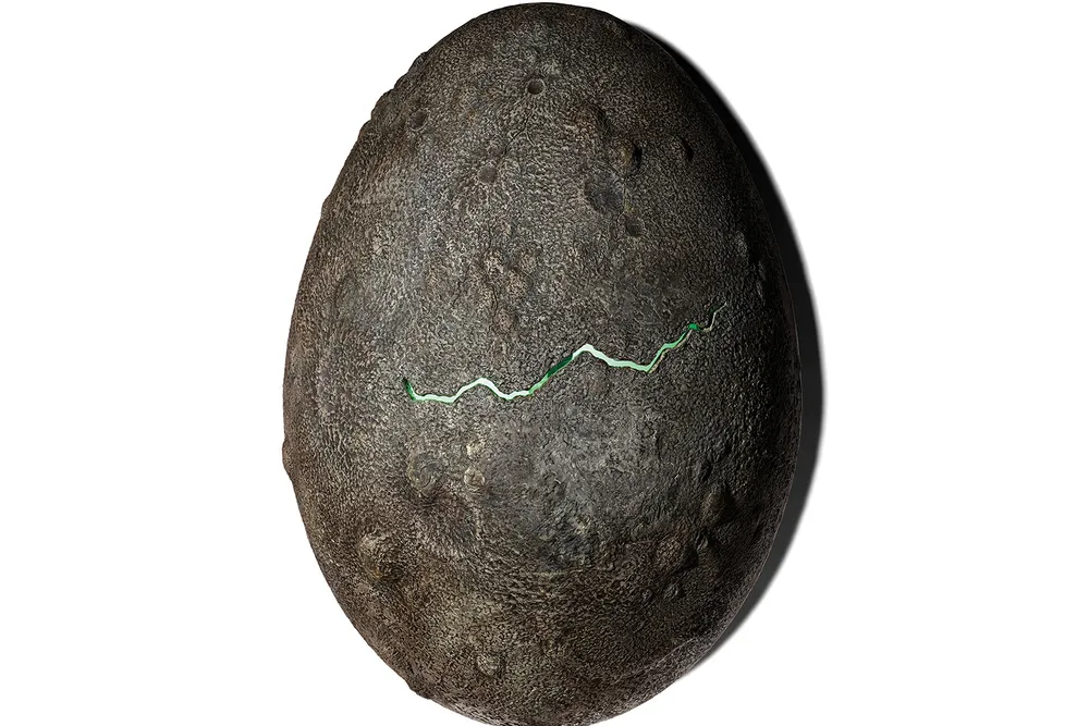Prop Egg from the Alien film series