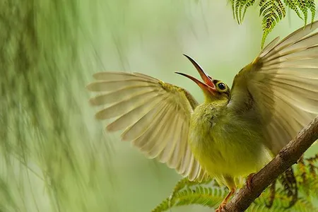 2012 Smithsonian Photo Contest Grand Prize Winner