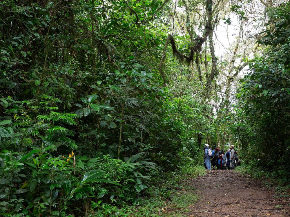 Dendrology course field trip