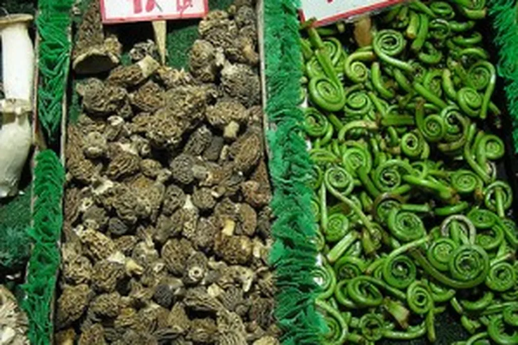 20110520090020138588154_529a2629d7-299x400.jpg