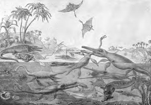 20110520083109duriaantiquior.jpg