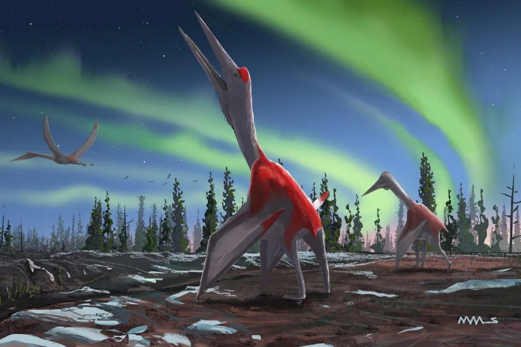 Pterosaur Standing