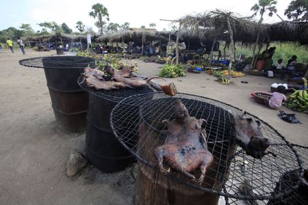 Dried bushmeat is displayed near a road of the Yamoussoukro highway. Experts who have studied the Ebola virus from its discovery in 1976 in Democratic Republic of Congo, then Zaire, say its suspected origin is forest bats. Links have also been made to the carcasses of freshly slaughtered animals consumed as bushmeat.