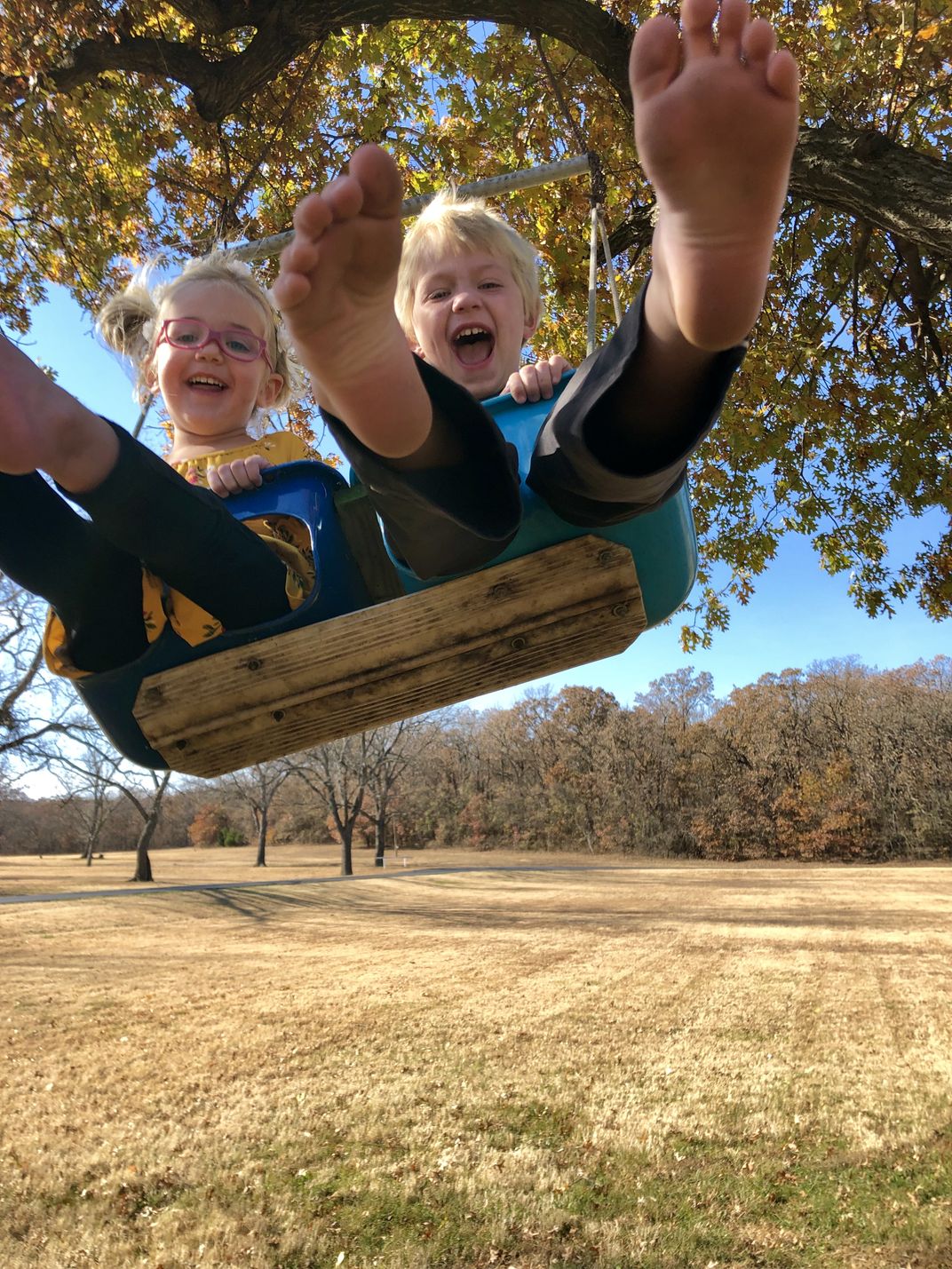 7 - This young pair, celebrating Thanksgiving on their great-grandpa’s farm, is thankful for strong old trees that can securely hold the weight of swinging toddlers.