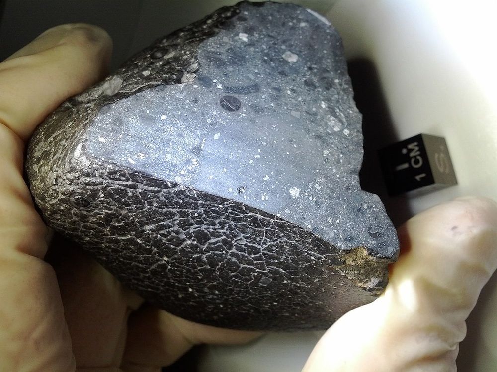An image of the space meteorite NWA 7034. It looks like a truffle.