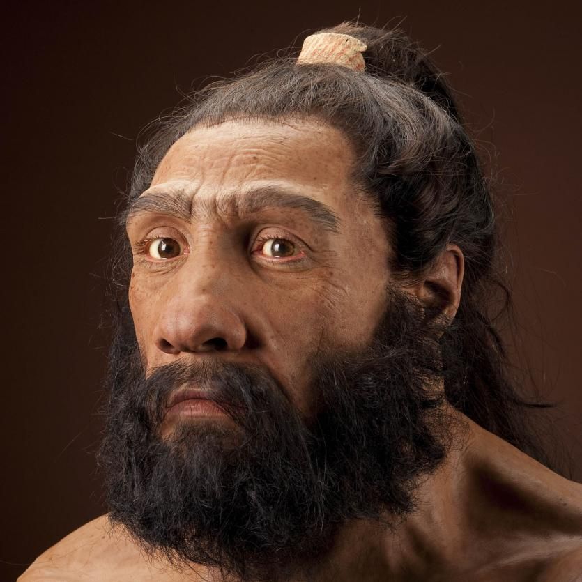 How Intelligent Were Neanderthals