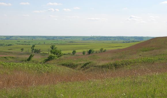 The awesomely beautiful tallgrass prairie in the Flint Hills of Kansas. The Flint Hills contains the majority of the remaining tallgrass prairie in the United States, thanks to its rocky soil that prevented farmers from plowing it under to farm the fertile soils. (Credit: Kim La Pierre) 